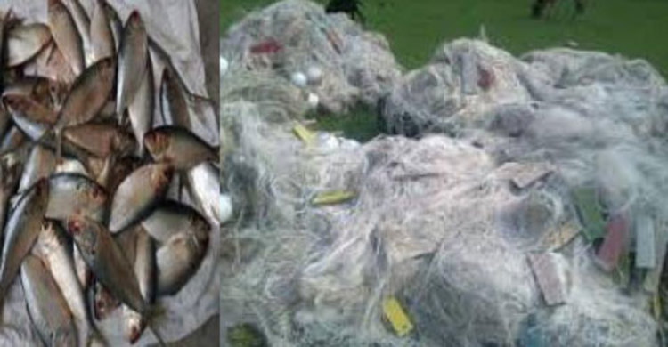 শরীয়তপুরে ২০ মণ জাটকা ও কারেন্টজাল আটক