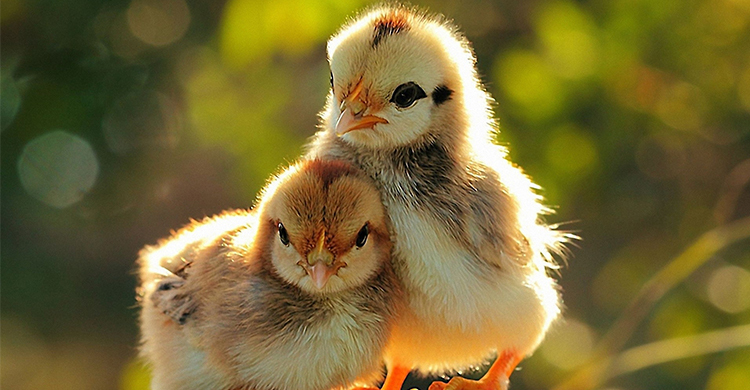 পৃথিবীর সুন্দরতম ফটোগ্রাফি