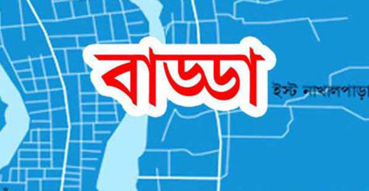 বাড্ডায় সড়ক দুর্ঘটনায় বিশ্ববিদ্যালয় ছাত্রী নিহত  