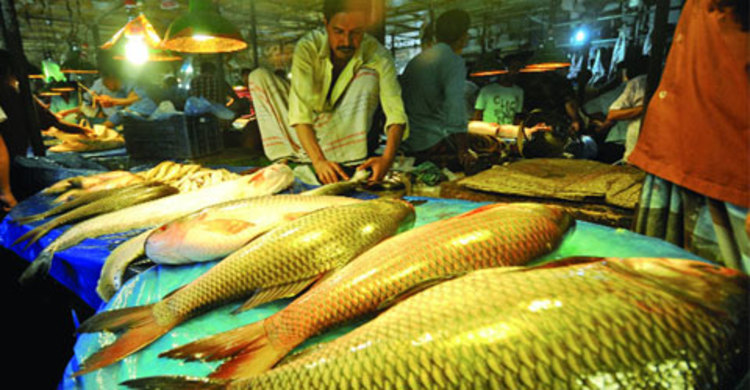 অবরোধের প্রভাবে বেড়েছে মাছের দাম 