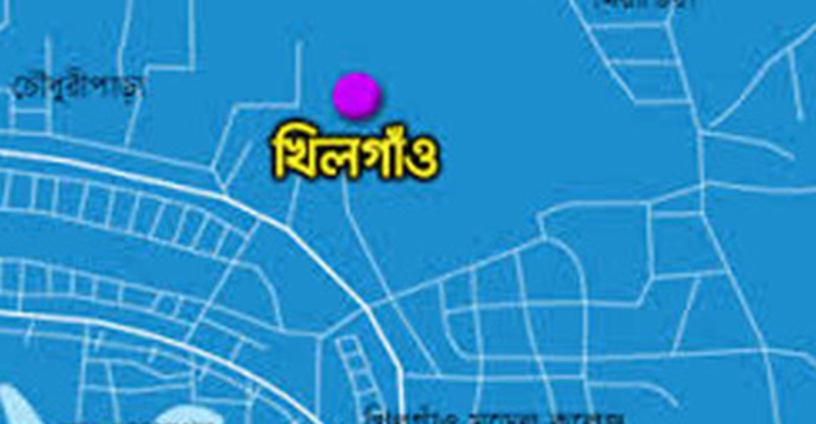 খিলগাঁওয়ে অস্ত্র-গুলিসহ আটক ২