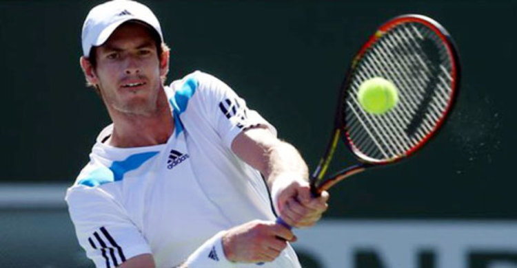 ফাইনালে মারে