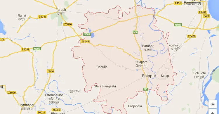 উল্লাপাড়ায় ইটের আঘাতে অটোযাত্রীর মৃত্যু