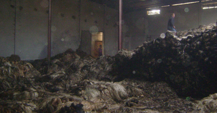 ফুলবাড়ীতে জুট মিলে ভয়াবহ আগুন