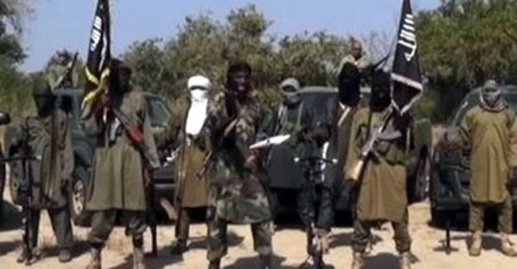 লেক শাদে বোকো হারামের বিরুদ্ধে অভিযানকালে শতাধিক জঙ্গি নিহত