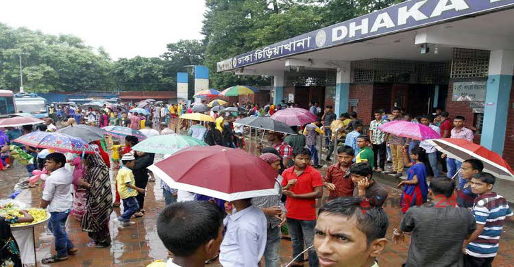 প্রতিকূল আবহাওয়ায় দর্শনার্থী সংকটে ঢাকা চিড়িয়াখানা