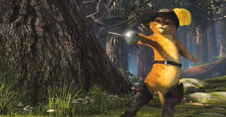 হার না মানা কিছু বিখ্যাত বিড়ালের কথা