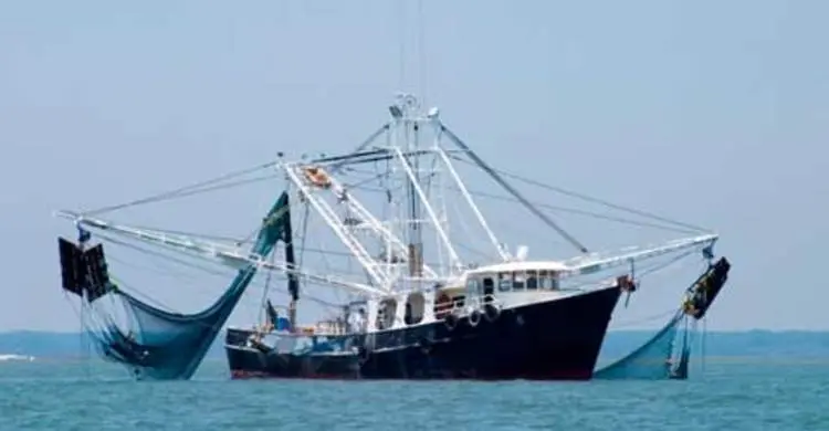 বঙ্গোপসাগরে ৬৫ দিন মাছ ধরা নিষেধ
