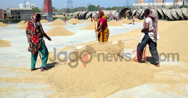 ভালো নেই আশুগঞ্জের চাতাল শ্রমিকরা