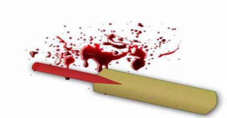 ক্রিকেট ব্যাটের আঘাতে শিশুর মৃত্যু