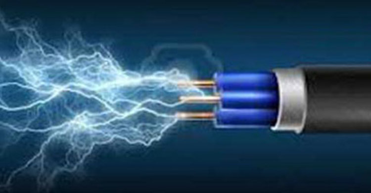 ফরিদপুরে বিদ্যুৎস্পৃষ্ট হয়ে স্কুলছাত্রের মৃত্যু