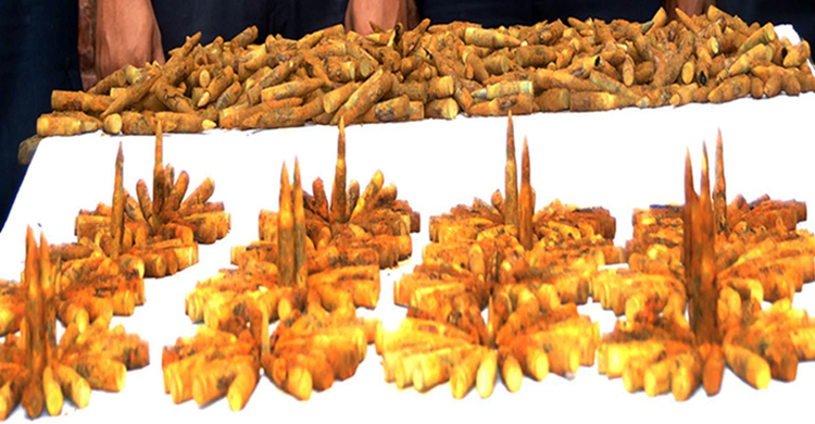 কুমিল্লায় সহস্রাধিক গুলি উদ্ধার