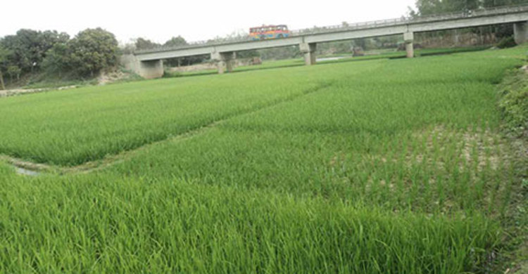 শাখা খালে পানির আকাল