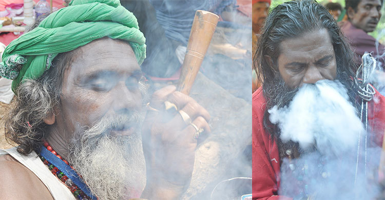 বগুড়ার মহাস্থানগড়ে গাঁজা উৎসব শুরু