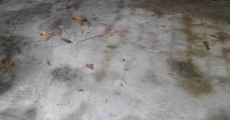 ঝিনাইদহে স্ত্রী কর্তৃক স্বামী খুন: লাশের সন্ধান দেড় মাস পর 