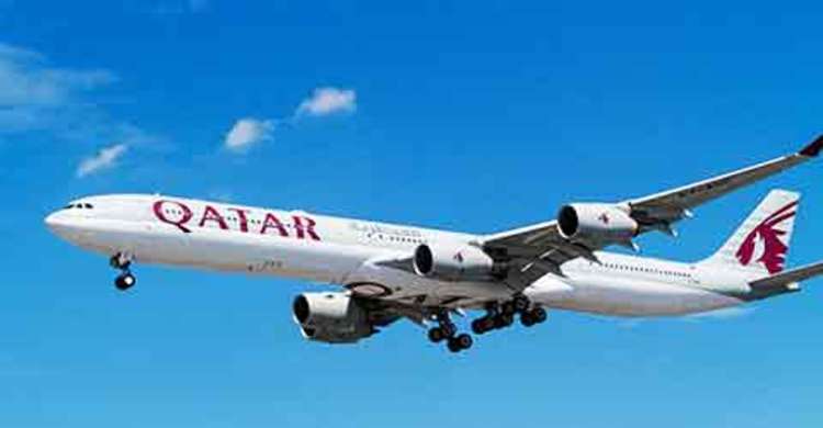 নারীর গর্ভযন্ত্রণায় জরুরি অবতরণ বিমানের