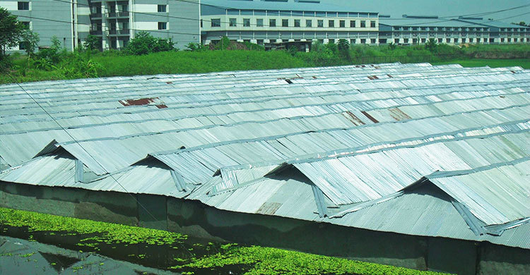 বঙ্গবন্ধু সেতু মহাসড়কের দুই পাশের অবৈধ স্থাপনা সরছে না 