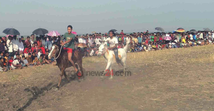 নাটোরে গ্রাম বাংলার ঐতিহ্যবাহী ঘোড়দৌড়