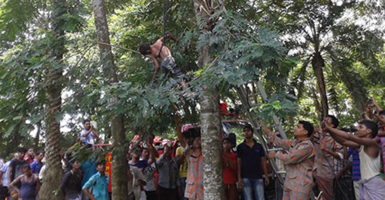 নোয়াখালীতে বিদ্যুৎস্পৃষ্টে স্কুলছাত্রের মৃত্যু