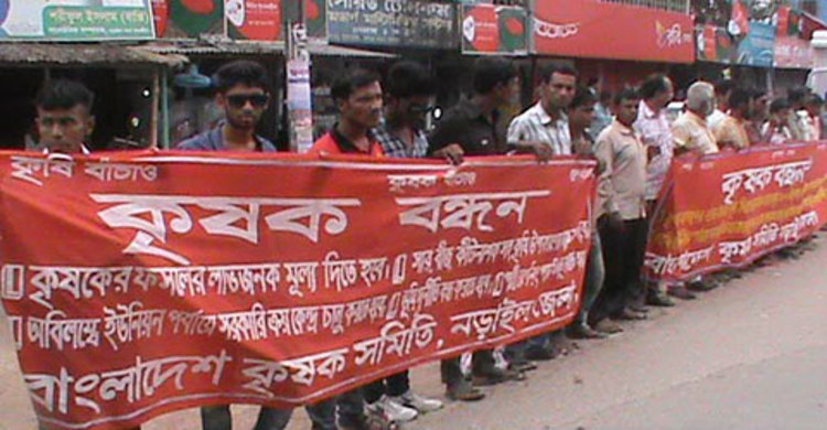 নড়াইলে ফসলের ন্যায্য মূল্যের দাবিতে কৃষকের মানববন্ধন 