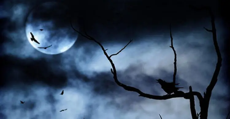 ঈশ্বরকে খুশি করতে লাশের পাশে নাচ