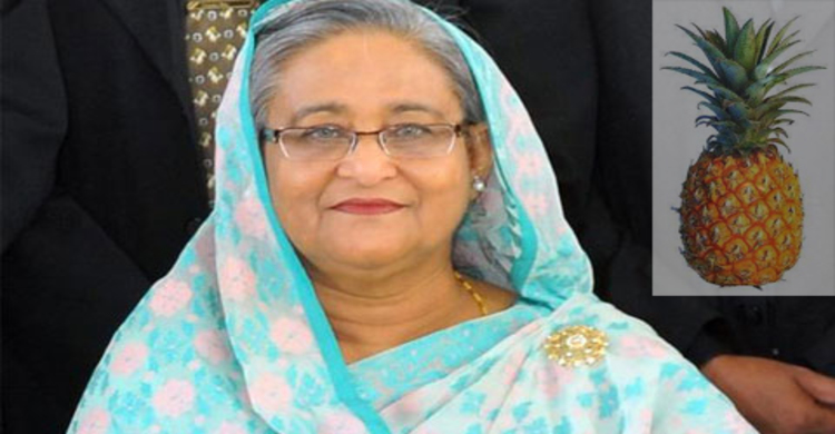 টাঙ্গাইলের আনারসে মুগ্ধ প্রধানমন্ত্রী