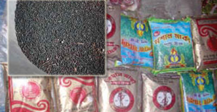 কুড়িগ্রামে বিনামূল্যে পাট বীজ বিতরণ