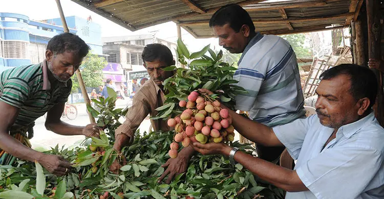 আমদানি কম, দাম শুনে হতাশ ক্রেতারা
