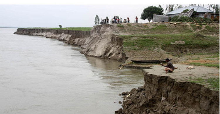 আবারো ভাঙছে যমুনার পশ্চিম তীর