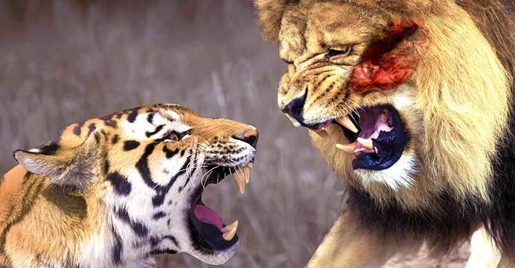 ১৮ এপ্রিল : এক নজরে সারাদিনের খবর