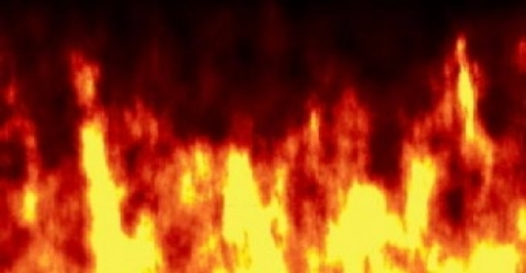 রামুতে দুর্বৃত্তদের আগুনে ১০ হেক্টর জমির গাছ দগ্ধ