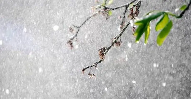 দেশের বিভিন্নস্থানে বজ্রসহ বৃষ্টি হতে পারে