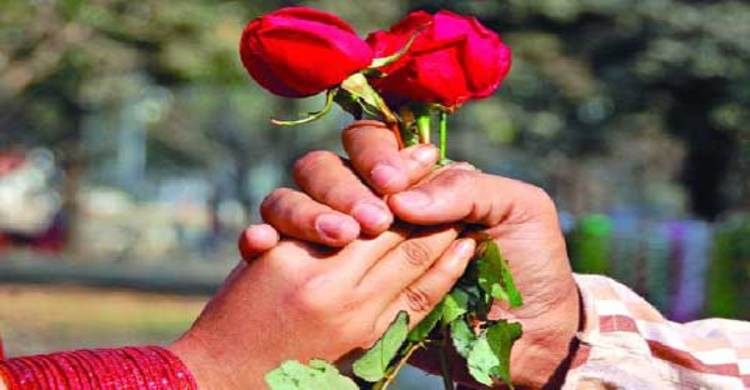 টয়লেট নিয়ে সুখের সংসার