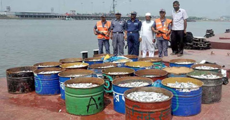 নারায়ণগঞ্জে ৩৫ মণ জাটকা জব্দ