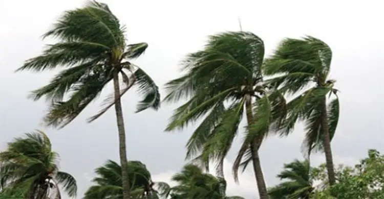 কালবৈশাখীতে রাজধানীসহ ছয় জেলায় নিহত ১৮