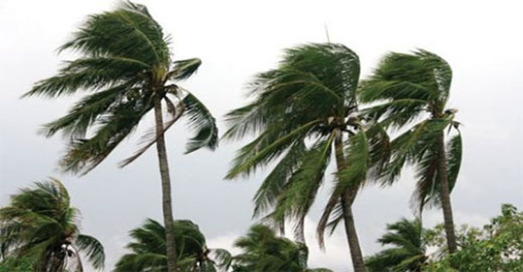 কালবৈশাখী ঝড়ে দুই জেলায় নিহত ৯