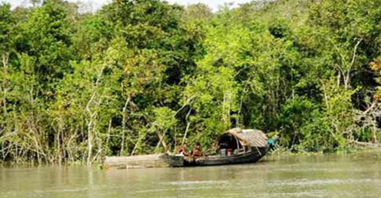 বনদস্যুদের হাতে অপহৃত ৭ জেলে 