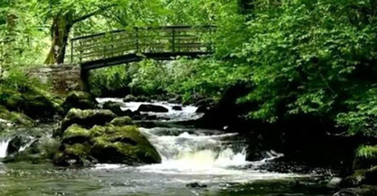 মানসিক রোগীদের ভিডিও থেরাপি!