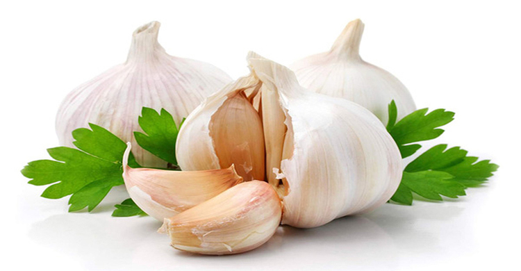 রসুন কেন খাবেন
