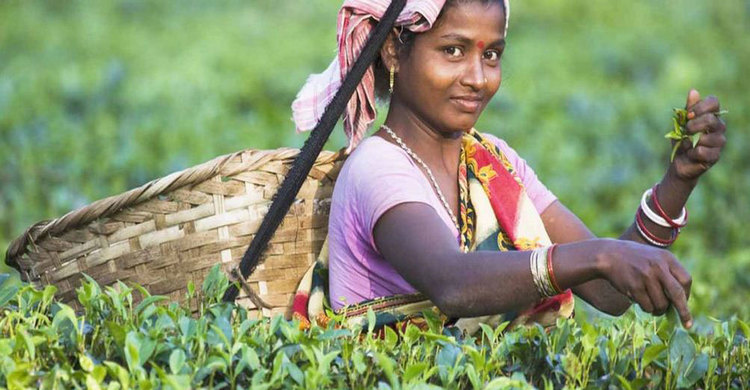 ৩০ এপ্রিল : একনজরে সারাদিনের খবর