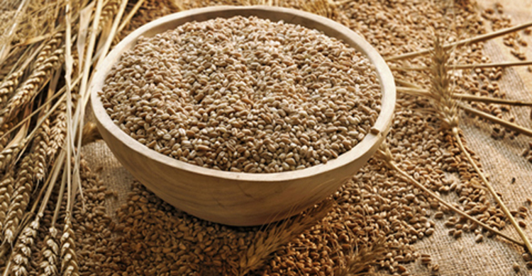 ইউএনও বিদেশে অবস্থান করছেন তাই...