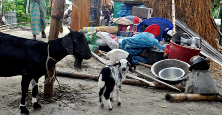 ইংকা গজব যেন আল্লাহ শক্রকো না দেয় : বাঁধ ভাঙা মানুষের আর্তি