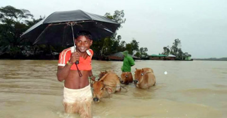 কক্সবাজারে বন্যা পরিস্থিতি ভয়াবহ : নিহত ১০, নিখোঁজ ৩