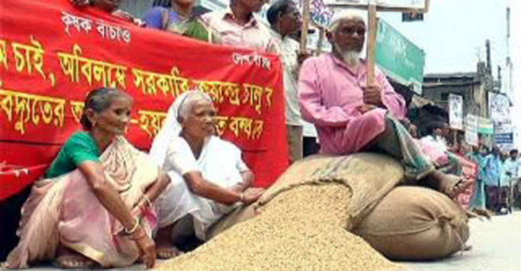 দিনাজপুরে সড়কে ধান ফেলে কৃষকের প্রতিবাদ