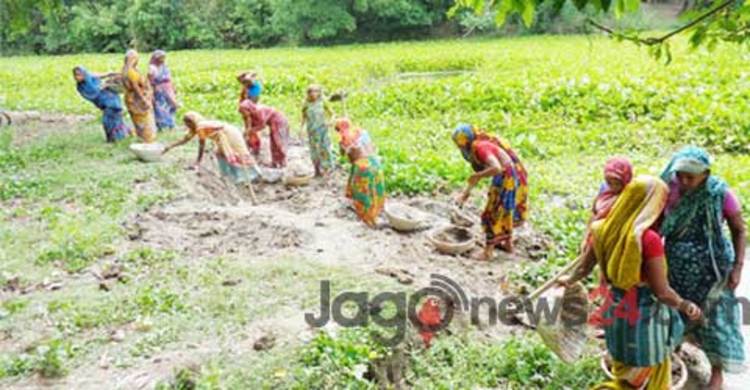 ফরিদপুরে কর্মসৃজন প্রকল্পে ব্যাপক অনিয়ম