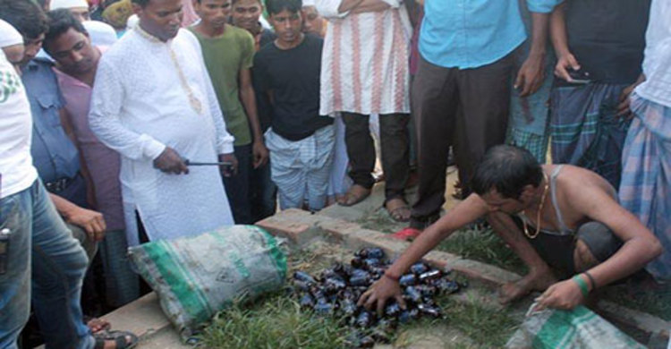 ছাত্রদল নেতাকে জিজ্ঞাসাবাদ : পুকুর থেকে ফেনসিডিল উদ্ধার