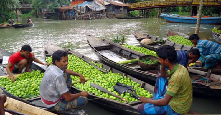 ভাসমান নৌকা থেকে লেবু যাচ্ছে সারা দেশে