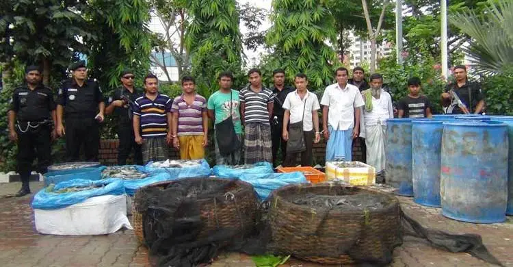 কারওয়ান বাজারে ভেজাল মাছ বিক্রি : ৮ জনকে জরিমানা