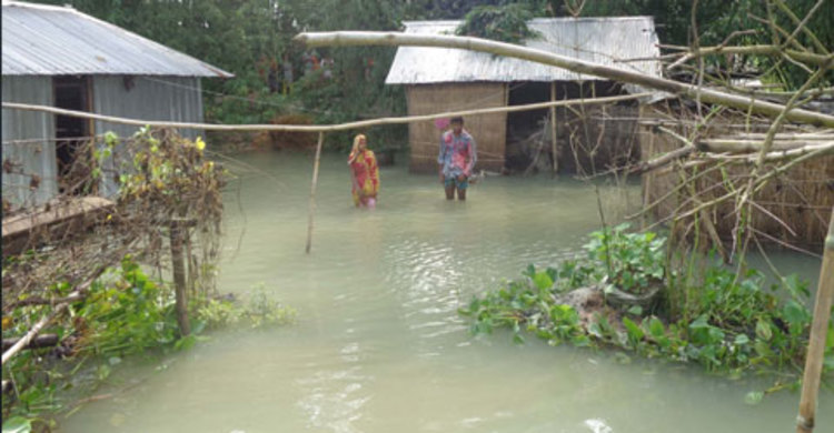 তিস্তায় পানি বৃদ্ধি : ১০ সহস্রাধিক মানুষ পানিবন্দী
