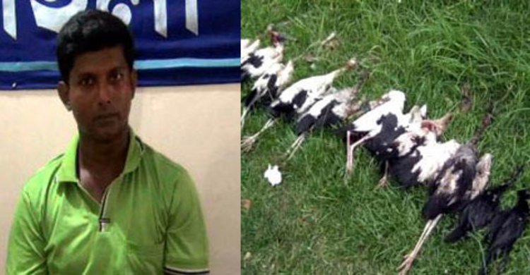 নড়াইলে বিরল প্রজাতির পাখিসহ শিকারি আটক